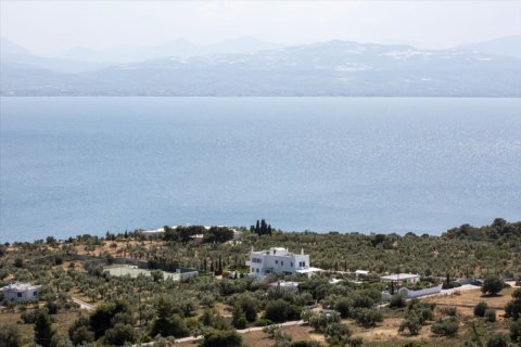 Studio Villa in Peloponnese, Greece No. 49133 8