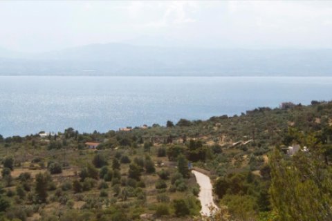 Studio Villa in Peloponnese, Greece No. 49133 9