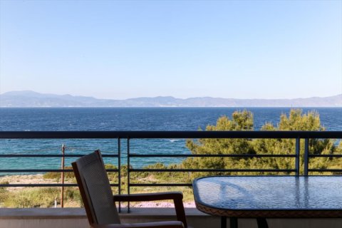 12 bedrooms Villa in Central Greece, Greece No. 50814 8