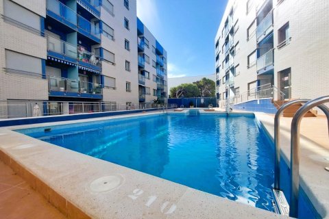 4 dormitorios Apartment en Torrevieja, Spain No. 27675 24