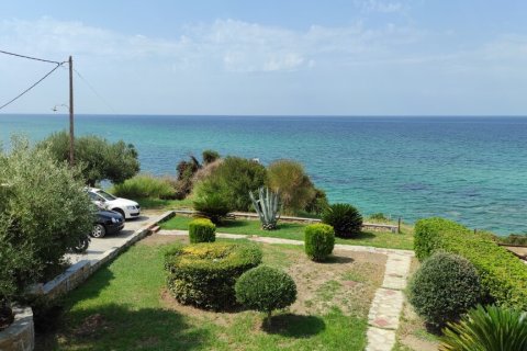 2 bedrooms Maisonette in Chalkidiki, Greece No. 56204 23