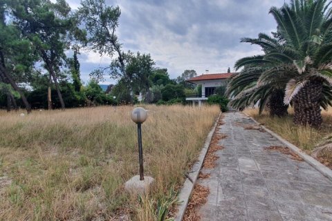 12000m² Land à Chalkidiki, Greece No. 56200 6