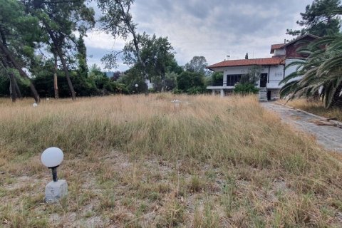 12000m² Land en Chalkidiki, Greece No. 56200 5