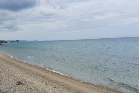 12000m² Land in Chalkidiki, Greece No. 56200 1