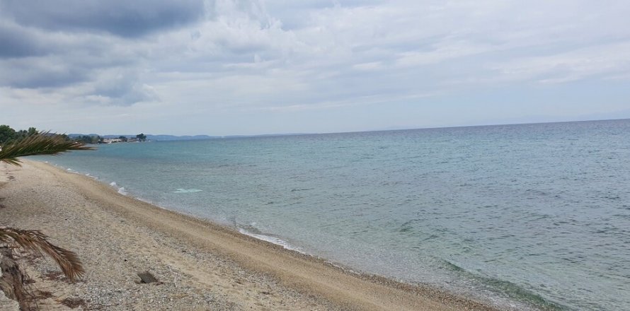 12000m² Land in Chalkidiki, Greece No. 56200