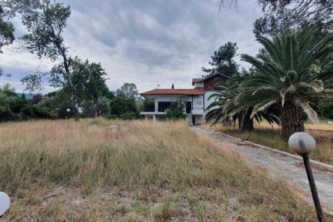 12000m² Land in Chalkidiki, Greece No. 56200 3