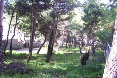 815m² Land en Dionysos, Greece No. 59059 4