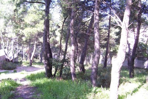 815m² Land à Dionysos, Greece No. 59059 3