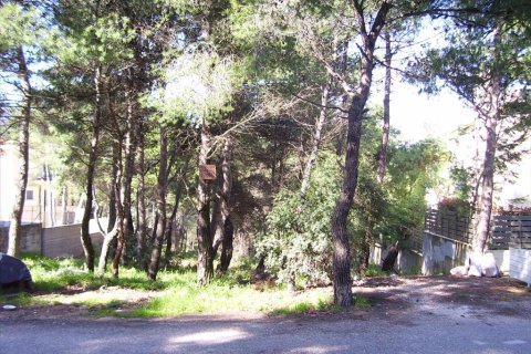 815m² Land à Dionysos, Greece No. 59059 5