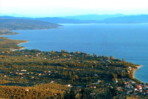 4000m² Land en Koropi, Greece No. 59055 1