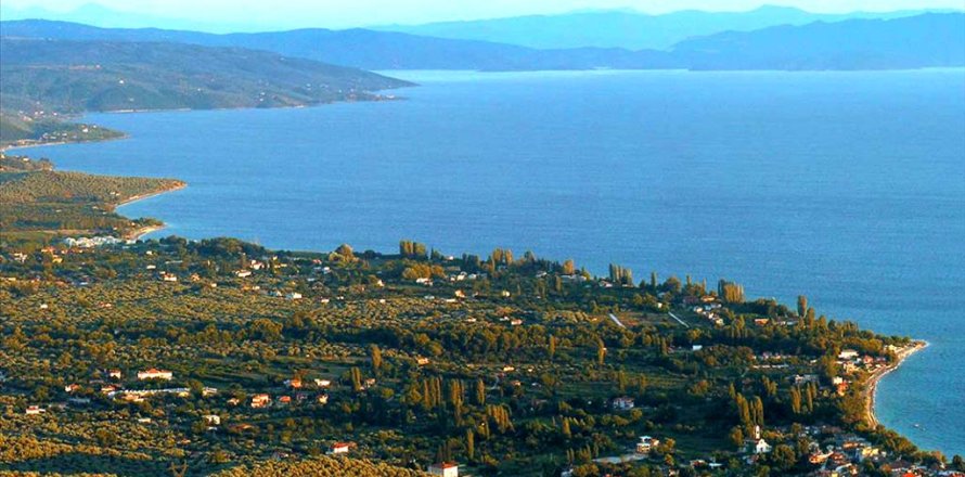 4000m² Land en Koropi, Greece No. 59055