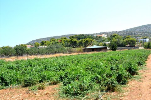 4000m² Land à Koropi, Greece No. 59056 1