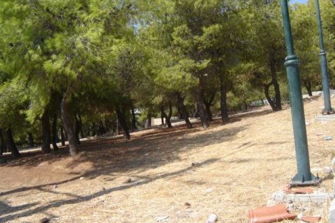 202000m² Land in Kamatero, Greece No. 59057 1