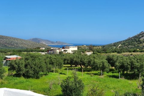 4 bedrooms House in Ierapetra, Greece No. 56055 19