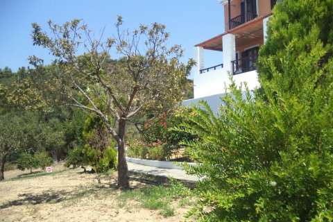 210m² Negocio en Elis, Greece No. 56120 23