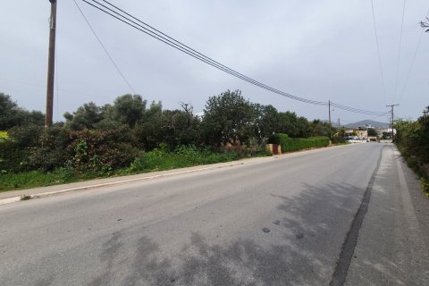 5256m² Land en Agios Nikolaos, Greece No. 56060 1