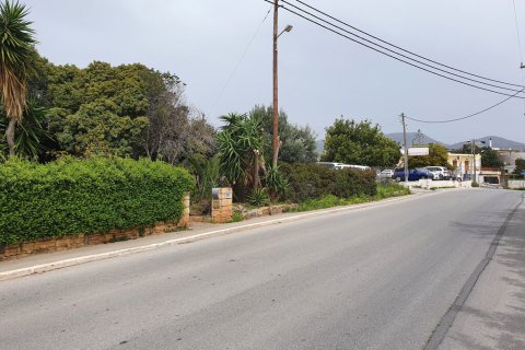 5256m² Land à Agios Nikolaos, Greece No. 56060 4