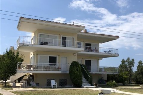 360m² Hotel in Chalkidiki, Greece No. 57050 1