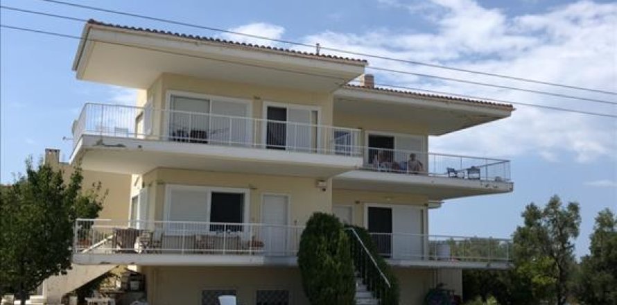 360m² Hotel in Chalkidiki, Greece No. 57050