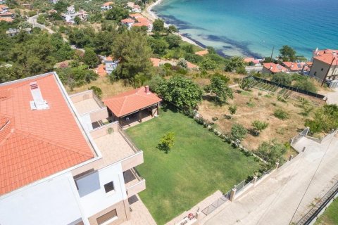 320m² Business in Thasos, Greece No. 57048 30