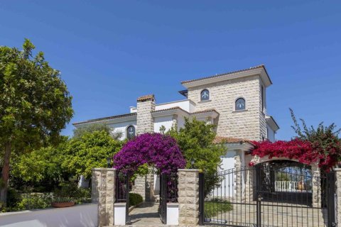 5 bedrooms Villa in Argaka, Cyprus No. 64882 18