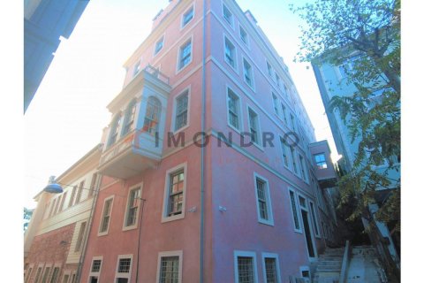 1+1 Apartment in Beyoglu, Turkey No. 17915 10