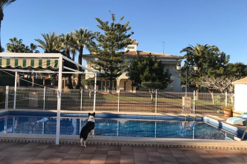 6 dormitorios Villa en Cabo Roig, Spain No. 26098 2