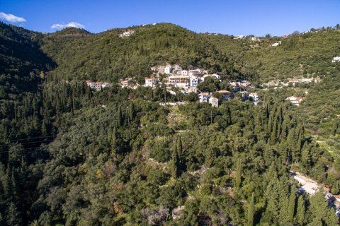 5000m² Land in Corfu, Greece No. 56349 12