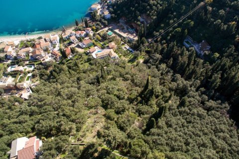 5000m² Land in Corfu, Greece No. 56349 1