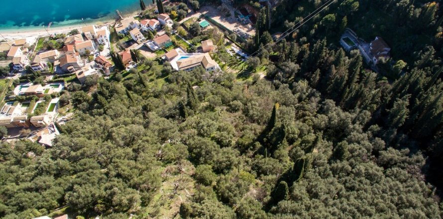 5000m² Land in Corfu, Greece No. 56349