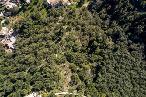 5000m² Land in Corfu, Greece No. 56349 10