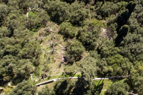 5000m² Land en Corfu, Greece No. 56349 8