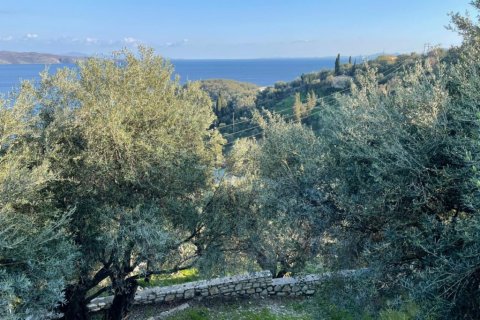 5000m² Land in Corfu, Greece No. 56349 7