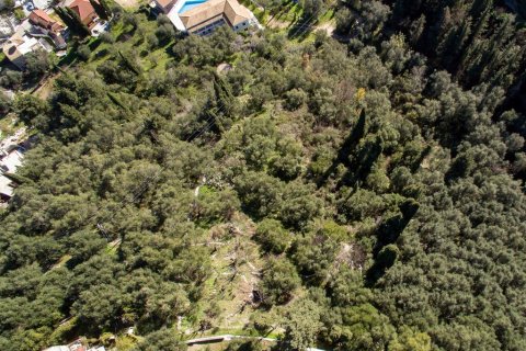 5000m² Land en Corfu, Greece No. 56349 4