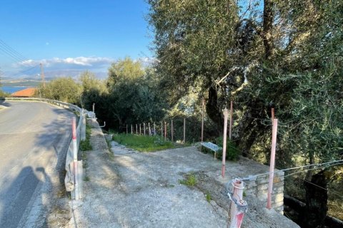 5000m² Land in Corfu, Greece No. 56349 6