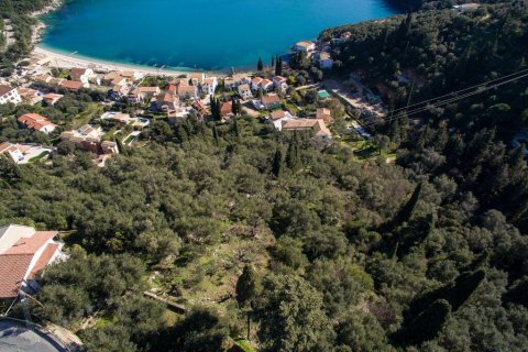 5000m² Land en Corfu, Greece No. 56349 13