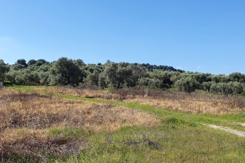 6400m² Land en Chalkidiki, Greece No. 56339 7