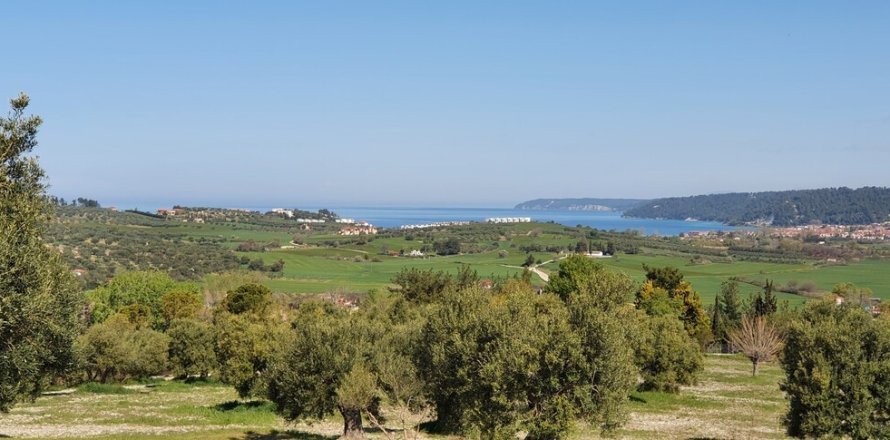 6400m² Land in Chalkidiki, Greece No. 56339