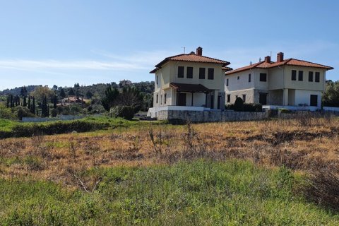 6400m² Land à Chalkidiki, Greece No. 56339 6