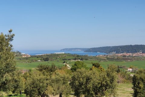 6400m² Land in Chalkidiki, Greece No. 56339 2