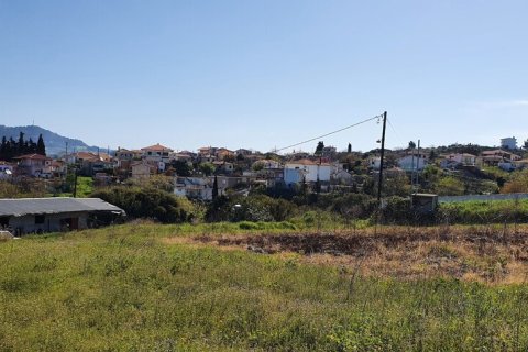 6400m² Land in Chalkidiki, Greece No. 56339 5