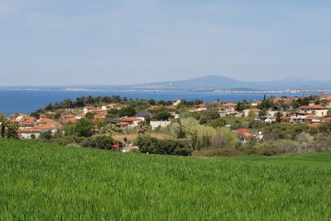 10500m² Land à Chalkidiki, Greece No. 56340 1