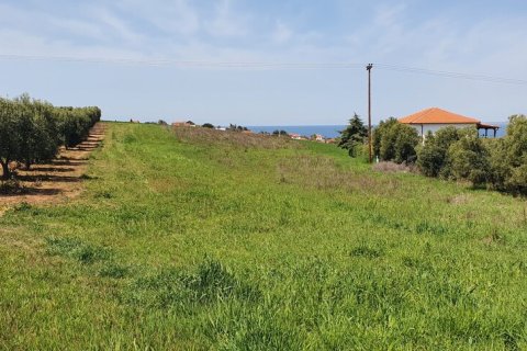 10500m² Land à Chalkidiki, Greece No. 56340 3