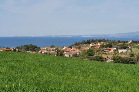 10500m² Land in Chalkidiki, Greece No. 56340 8