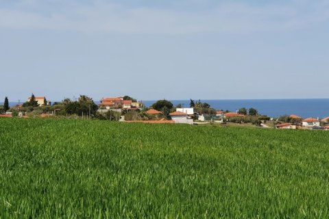 10500m² Land in Chalkidiki, Greece No. 56340 7