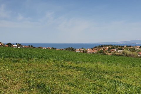 10500m² Land in Chalkidiki, Greece No. 56340 2