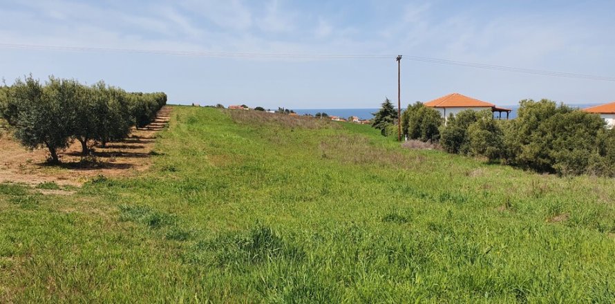 5500m² Land in Chalkidiki, Greece No. 56342