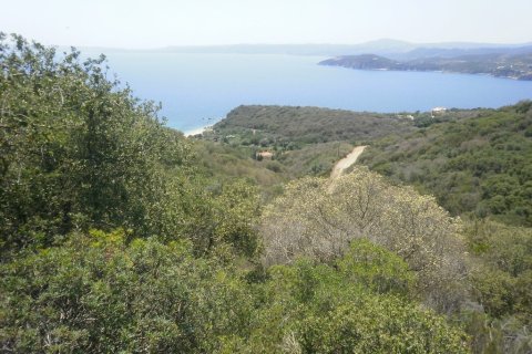 6070m² Land in Chalkidiki, Greece No. 56347 4