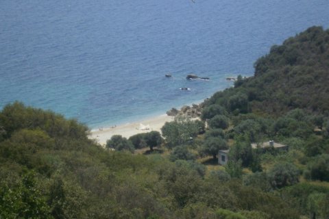 6070m² Land in Chalkidiki, Greece No. 56347 8