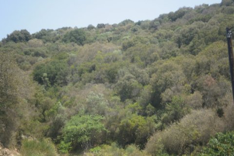 6070m² Land à Chalkidiki, Greece No. 56347 6